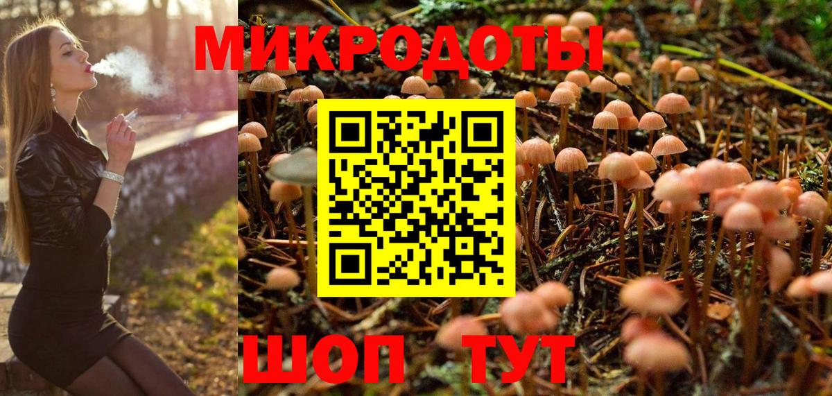 Галлюциногенные грибы мицелий Нижний Новгород