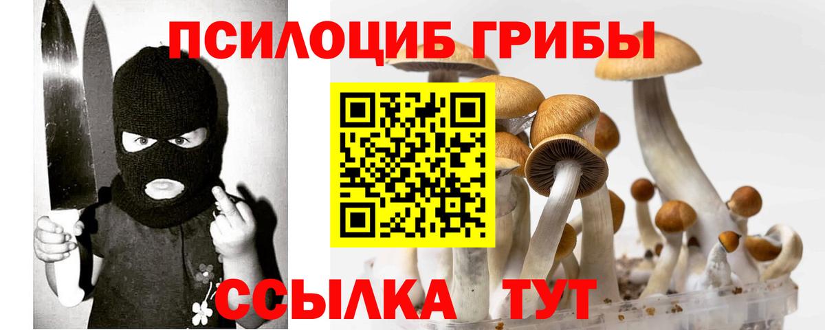 Нижний Новгород  Псилоцибиновые грибы MAGIC MUSHROOMS  Вход с VPN 